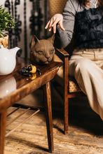 Load image into Gallery viewer, Cat 3D Puzzle