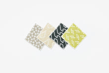 Load image into Gallery viewer, Coasters color (set of 4)