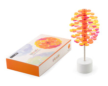 Load image into Gallery viewer, Lollipopter Translucent: Gift Box