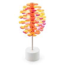 Load image into Gallery viewer, Lollipopter Translucent: Gift Box