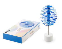 Load image into Gallery viewer, Lollipopter Translucent: Gift Box