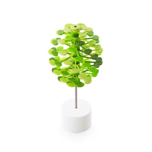 Load image into Gallery viewer, Lollipopter: Gift Box