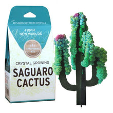 Load image into Gallery viewer, Crystal Growing Saguaro Cactus