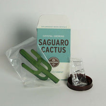 Load image into Gallery viewer, Crystal Growing Saguaro Cactus