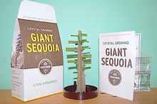 Load image into Gallery viewer, Crystal Growing Giant Sequoia