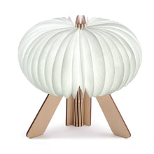 Load image into Gallery viewer, R Space Lamp