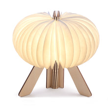 Load image into Gallery viewer, R Space Lamp