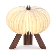 Load image into Gallery viewer, R Space Lamp
