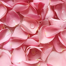 Load image into Gallery viewer, MaskerAide - Rose Dreams Hydrating Sleep Mask - 3 uses