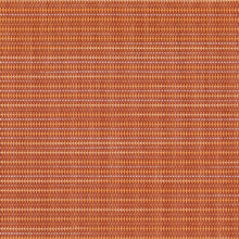Load image into Gallery viewer, Pumpkin - Set of 6 Placemats