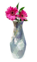 Load image into Gallery viewer, BizzyB - MyVaz