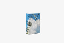 Load image into Gallery viewer, 500pc Puzzle In Puzzle: Spring
