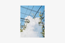 Load image into Gallery viewer, 500pc Puzzle In Puzzle: Spring