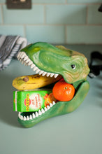 Load image into Gallery viewer, DINOSAUR CASE