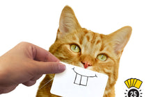 Load image into Gallery viewer, CAT SNAP