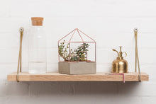 Load image into Gallery viewer, COPPER PLANT HOUSE
