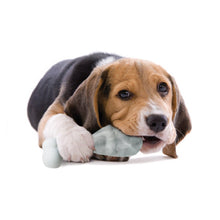 Load image into Gallery viewer, PUPSICLE