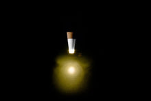 Load image into Gallery viewer, BOTTLE LIGHT, MULTICOLOUR