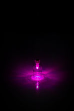 Load image into Gallery viewer, BOTTLE LIGHT, MULTICOLOUR