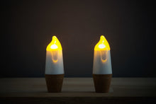 Load image into Gallery viewer, BOTTLE LIGHT, CANDLE