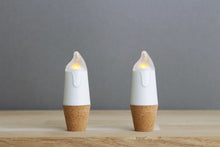 Load image into Gallery viewer, BOTTLE LIGHT, CANDLE
