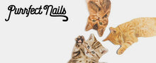 Load image into Gallery viewer, NAIL FILE, PURRFECT NAILS