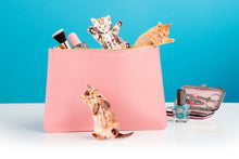 Load image into Gallery viewer, NAIL FILE, PURRFECT NAILS