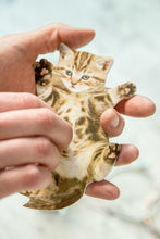 Load image into Gallery viewer, NAIL FILE, PURRFECT NAILS