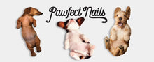 Load image into Gallery viewer, DOG NAIL FILES