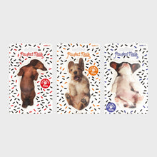Load image into Gallery viewer, DOG NAIL FILES