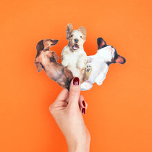 Load image into Gallery viewer, DOG NAIL FILES