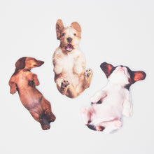 Load image into Gallery viewer, DOG NAIL FILES