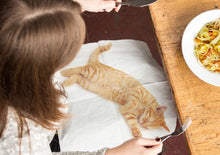 Load image into Gallery viewer, CAT NAPKINS