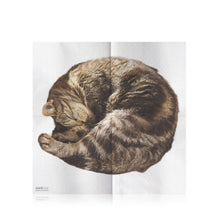 Load image into Gallery viewer, CAT NAPKINS