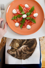 Load image into Gallery viewer, CAT NAPKINS
