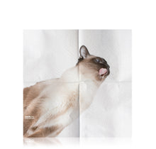 Load image into Gallery viewer, CAT NAPKINS