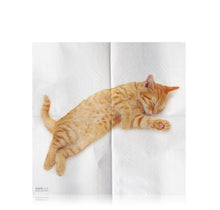 Load image into Gallery viewer, CAT NAPKINS
