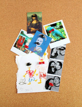 Load image into Gallery viewer, PUSH PINS, DISGUISE