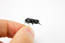 Load image into Gallery viewer, PUSH PIN, FLY