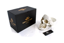 Load image into Gallery viewer, SKULL TIDY, WHITE