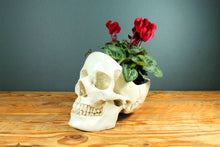 Load image into Gallery viewer, SKULL TIDY, WHITE