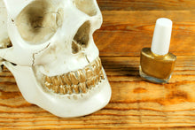 Load image into Gallery viewer, SKULL TIDY, WHITE