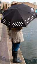 Load image into Gallery viewer, COLOUR CHANGING, UMBRELLA