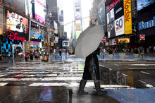 Load image into Gallery viewer, UMBRELLA, REFLECTIVE