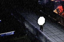 Load image into Gallery viewer, UMBRELLA, REFLECTIVE
