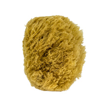 Load image into Gallery viewer, Urban Spa - The all-natural sea sponge