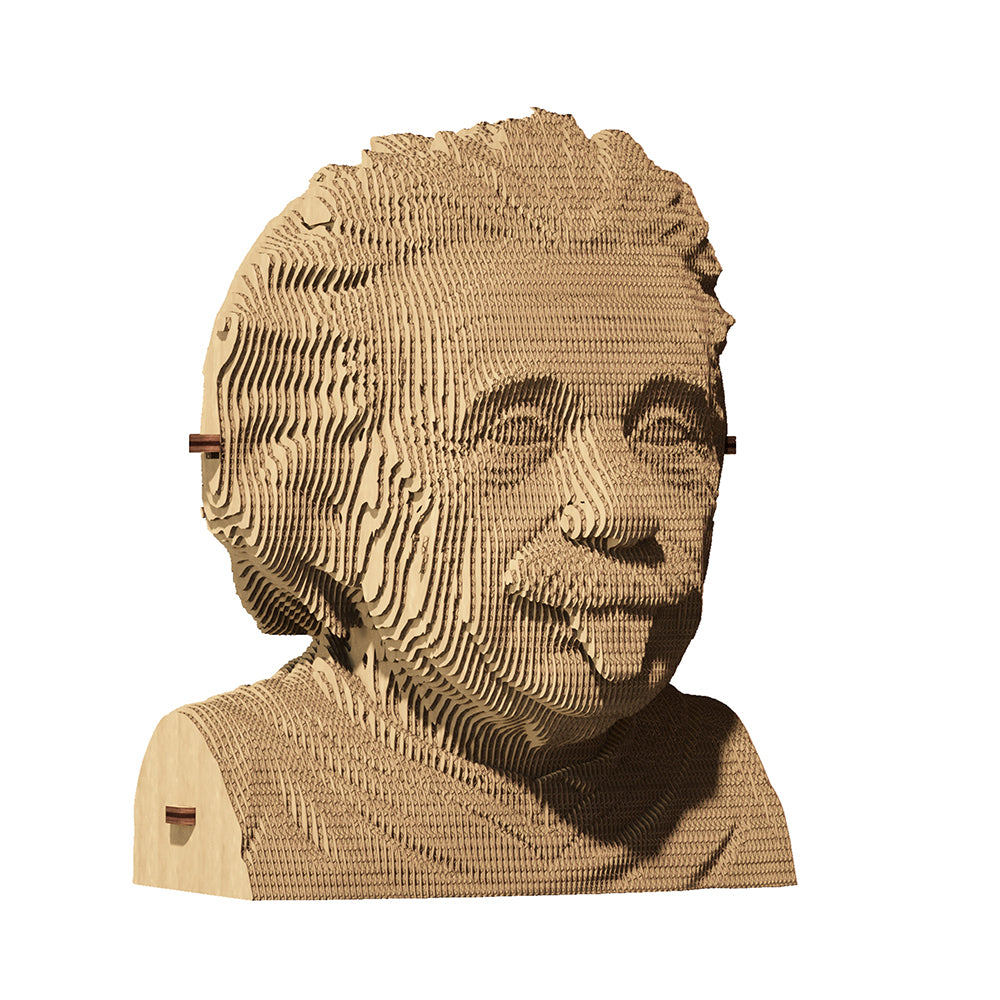 Albert Einstein 3D Puzzle