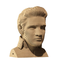 Load image into Gallery viewer, Elvis 3D Puzzle
