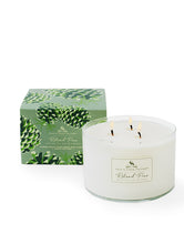 Load image into Gallery viewer, Roland Pine Three-Wick Soy Candle

