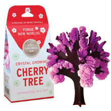 Load image into Gallery viewer, Crystal Growing Cherry Tree
